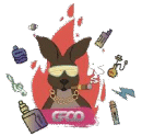 Groo Vape shop